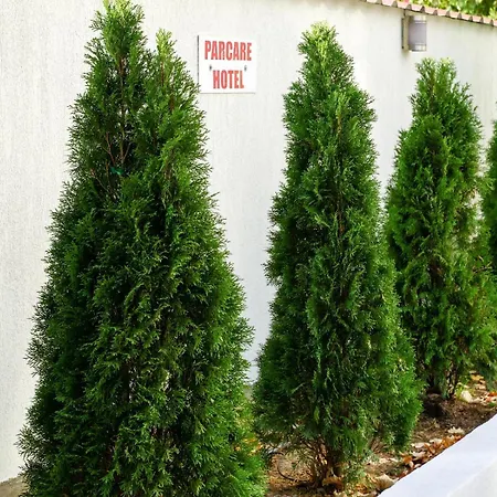 Criss Hotel Bukareszt