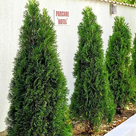 Criss Hotel 3*