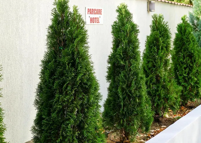 Criss Otel Bükreş