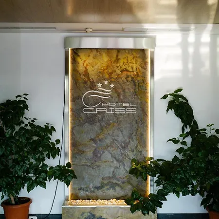 Criss Бухарест